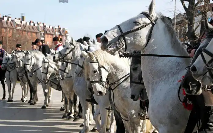 U Županji traje Šokačko sijelo, volimo kad destinacije njeguju tradiciju U Županji traje Šokačko sijelo, volimo kad destinacije njeguju tradiciju
