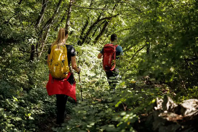 Sjajno! Novi Vinodolski u subotu poziva na šetnju “Dolinom vina”, prijave nisu potrebne. Sjajno! Novi Vinodolski u subotu poziva na šetnju “Dolinom vina”, prijave nisu potrebne.
