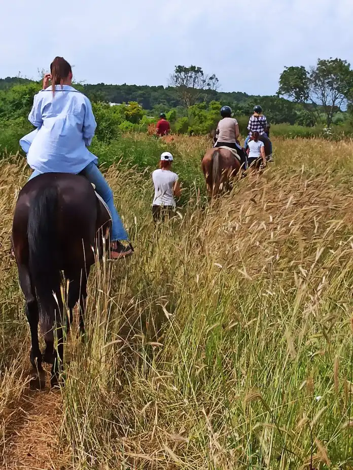 Prvi MINDFULNESS&HORSES RETREAT održat će se u Medulinu, imamo i promo kod za vas. Prvi MINDFULNESS&HORSES RETREAT održat će se u Medulinu, imamo i promo kod za vas.
