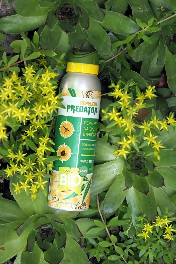 Zaštitite se prirodom! Saznali smo kako izbjeći komarce i krpelje na izletu Zaštitite se prirodom! Saznali smo kako izbjeći komarce i krpelje na izletu