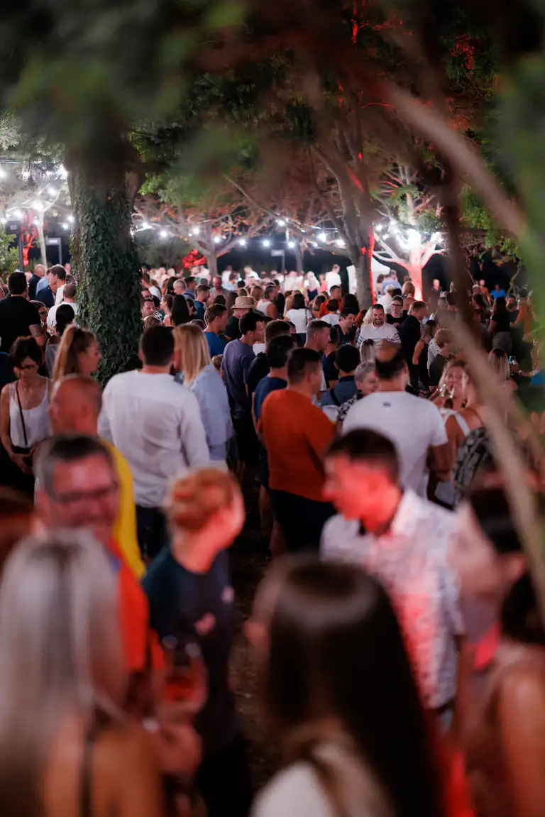 Posjetili smo Wine & Music Night u Labinu! Odlična organizacija i super atmosfera uz koncert Matije Cveka i The Funkensteins.