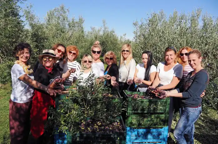 Brale su masline, učile raditi šurlice, svladale beauty trikove – ovako je izgledao Ženski vikend u Malinskoj Brale su masline, učile raditi šurlice, svladale beauty trikove – ovako je izgledao Ženski vikend u Malinskoj