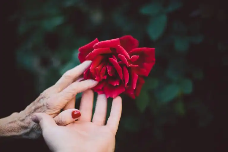 Dnevna doza inspiracije: Citati o ženama
