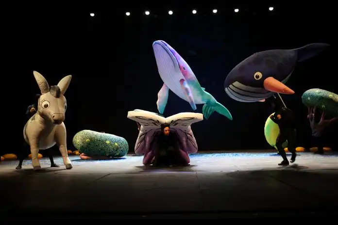 Predstava „Magarčić i kit“, autorski je projekt Damira Martinovića Mrleta i Ivanke Mazurkijević. Predstava „Magarčić i kit“, autorski je projekt Damira Martinovića Mrleta i Ivanke Mazurkijević.