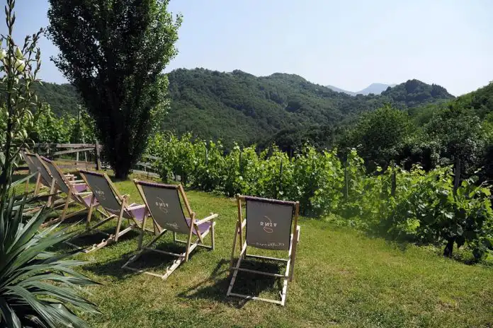 Volite li odmor na kontinentu – istražite Slovensku Štajersku! Volite li odmor na kontinentu – istražite Slovensku Štajersku!