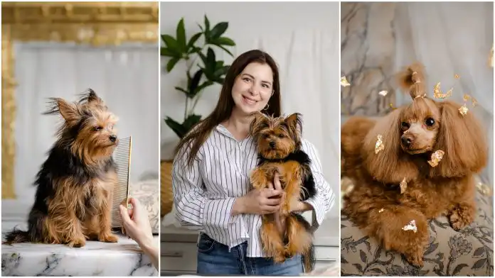Dubai spa tretman za ljubimce? U Samoboru psi mogu uživati u luksuznom tremanu njege. Dubai spa tretman za ljubimce? U Samoboru psi mogu uživati u luksuznom tremanu njege.