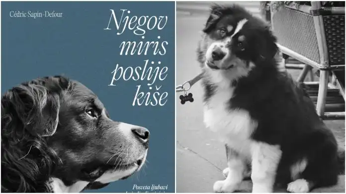 Jesen u Rijeci miriše na ugodu, čaj i knjigu – „Njegov miris poslije kiše“ Cédrica Sapin-Defoura Jesen u Rijeci miriše na ugodu, čaj i knjigu – „Njegov miris poslije kiše“ Cédrica Sapin-Defoura