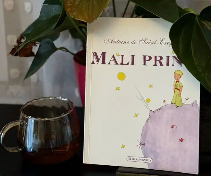 “Mali princ” – knjiga kojoj se vrijedi vraćati. “Mali princ” – knjiga kojoj se vrijedi vraćati.