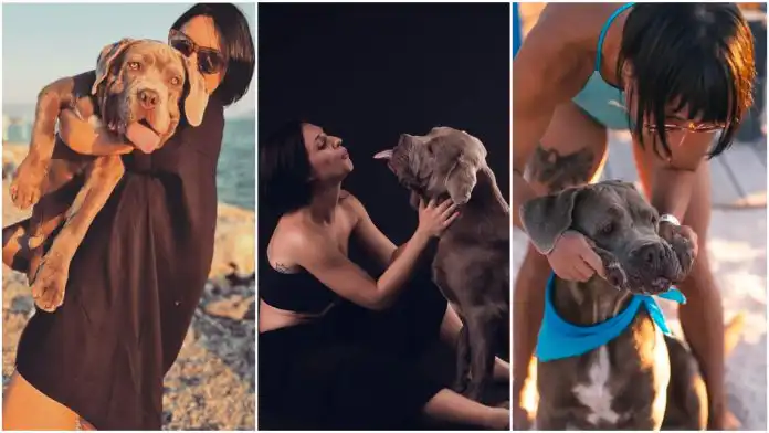 Dogloveri: Kaya Nemec i Koa Dogloveri: Kaya Nemec i Koa