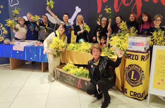 “Mimoza za mališane” u ZTC-u. “Mimoza za mališane” u ZTC-u.