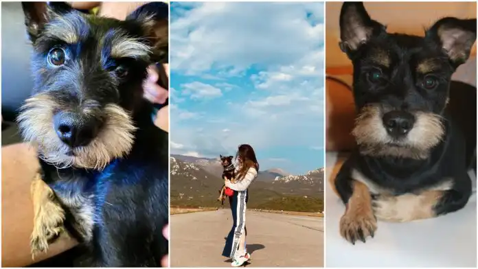 Dogloveri: Ivona Horvat i Maiy Dogloveri: Ivona Horvat i Maiy