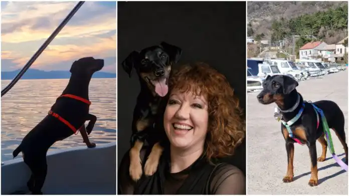 Dogloveri: Kommy i Gioia Ulrich Knežević Dogloveri: Kommy i Gioia Ulrich Knežević