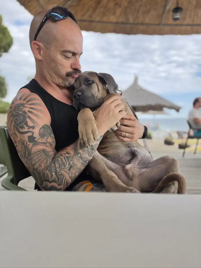 Ares je novi član obitelji Antonić. Ares je novi član obitelji Antonić.