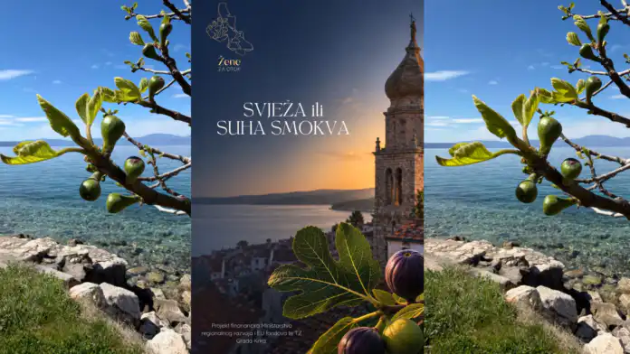 Novi projekt udruge Žene za otok: Od smokve do poduzetništva. Novi projekt udruge Žene za otok: Od smokve do poduzetništva.