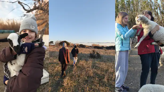 Petra Visitz otkriva čari i izazove života na otoku Vele Srakane. Petra Visitz otkriva čari i izazove života na otoku Vele Srakane.